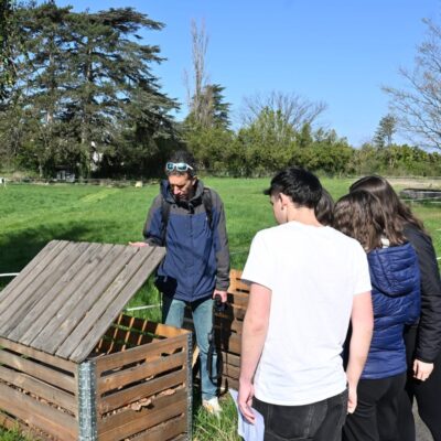 compost élèves classes